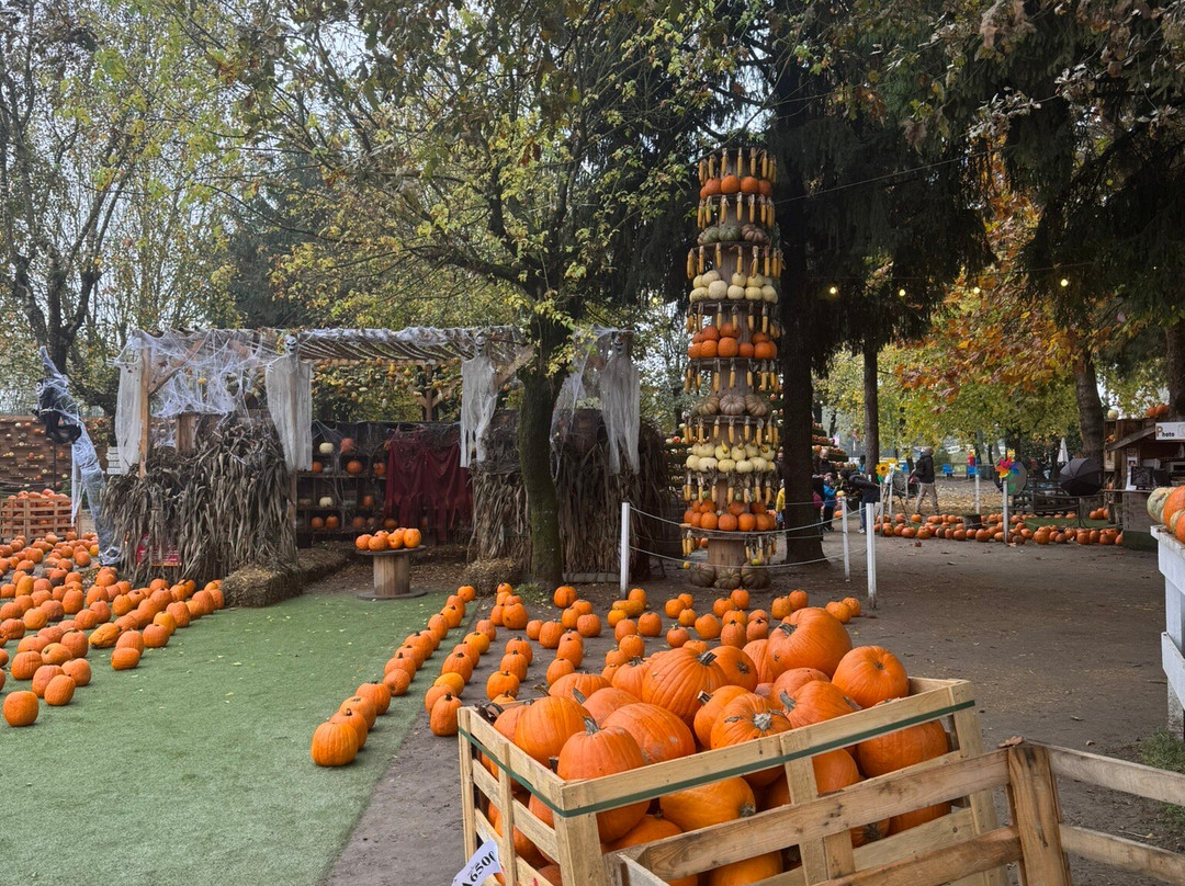 Il Villaggio Delle Zucche-San Martino Siccomario必去景点