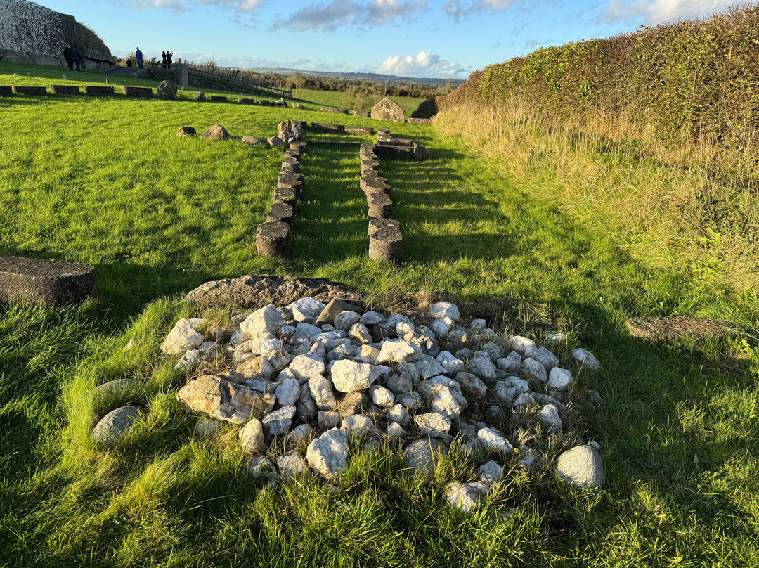 Mary Gibbons Tours-都柏林郡必去景点