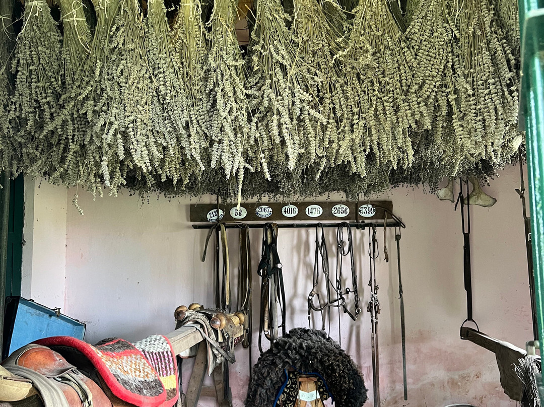 Estancia La Tomasa主图