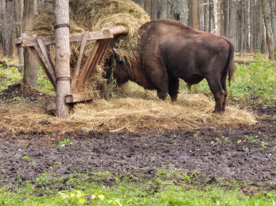 Prioksko-Terrasny Nature Reserve-Danki必去景点