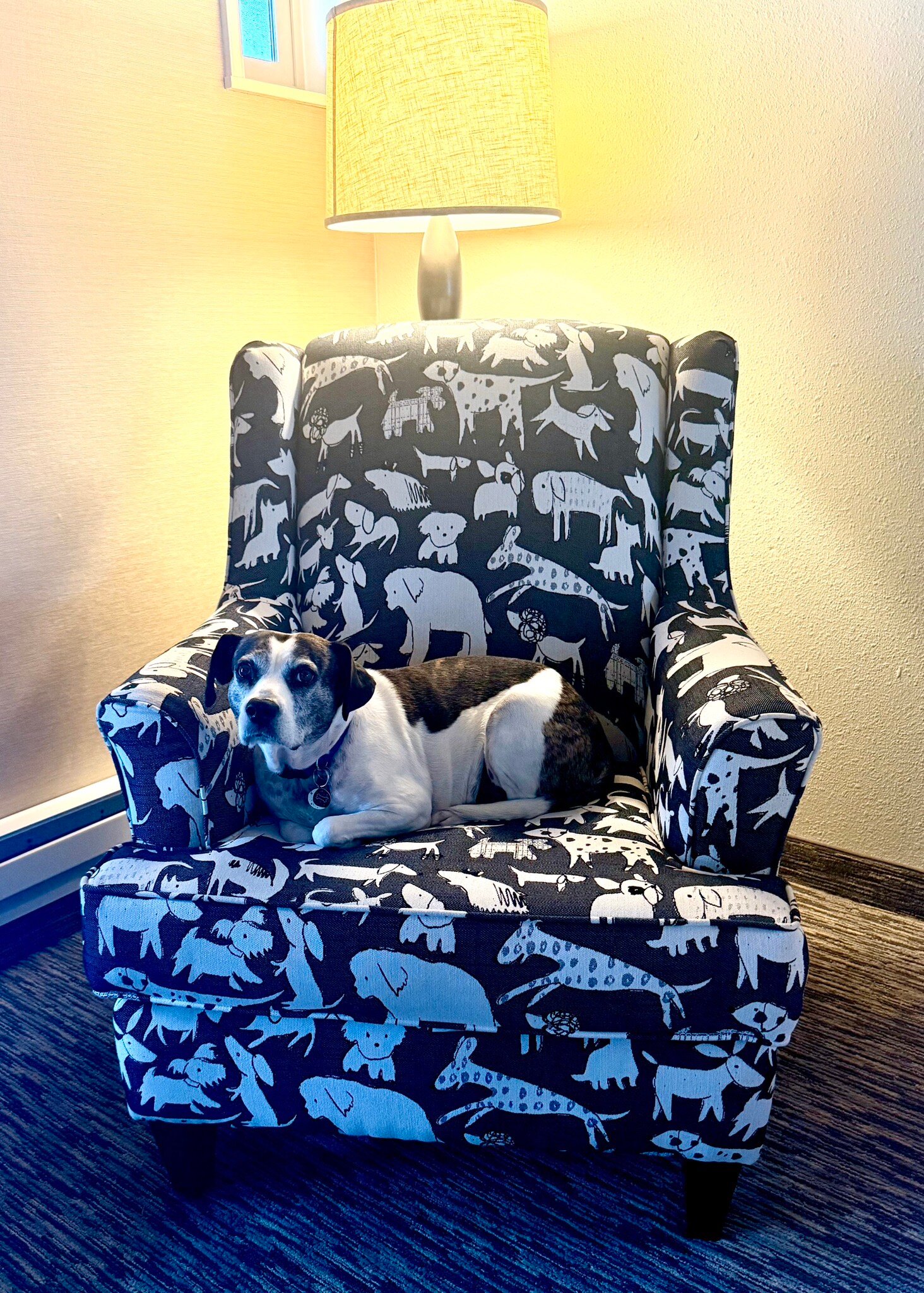 Fireside Motel-官方