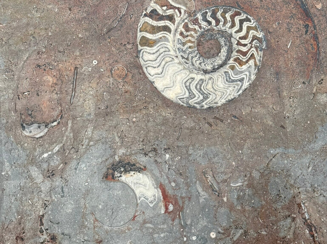 Moroccan Guides Travel-马拉喀什必去景点