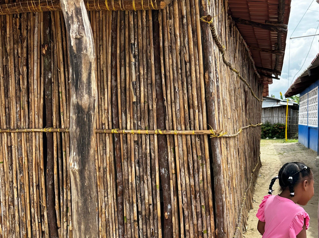 Flying Ginny Catamaran Charter-埃尔波韦尼尔必去景点