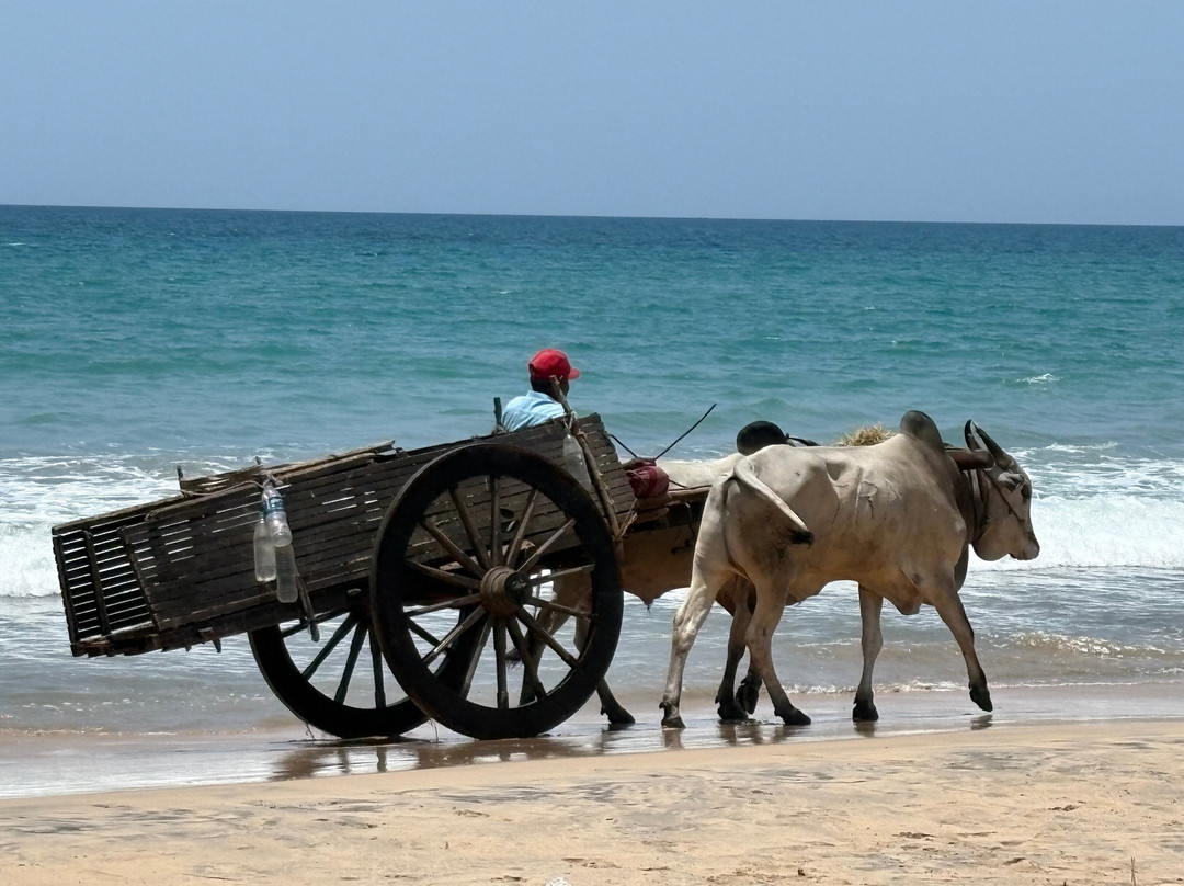 SriLankan Pearl-康提必去景点