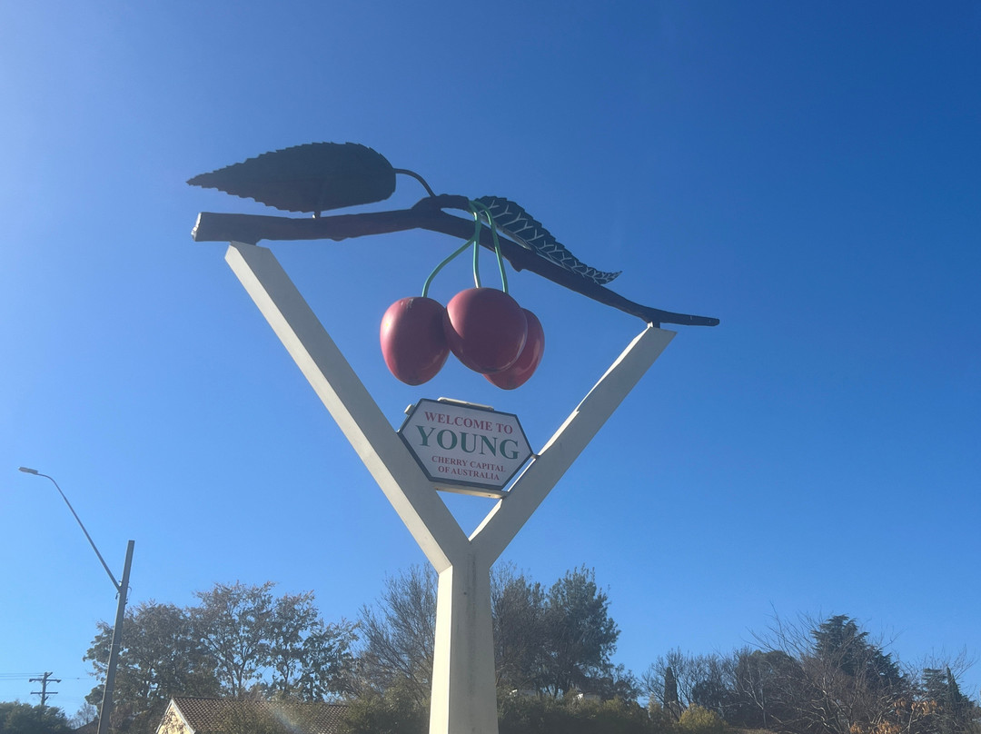 The Big Cherries-Young必去景点