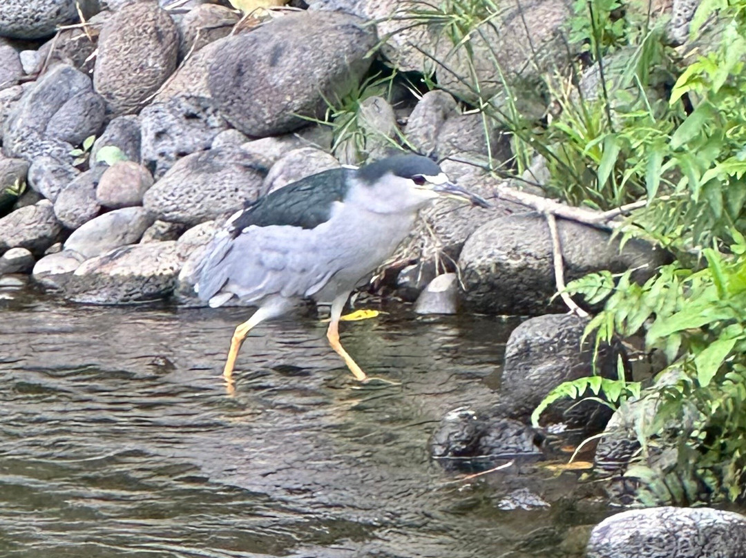 Waipio Valley Shuttle-库库伊哈尔必去景点