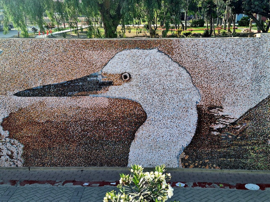 Dream Place Trujillo