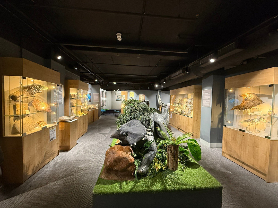 Dudley Museum and Art Gallery-Dudley必去景点