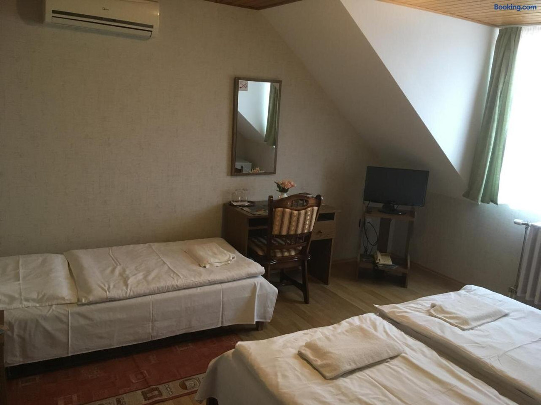 Izmeny酒店住宿-Koller Panzio