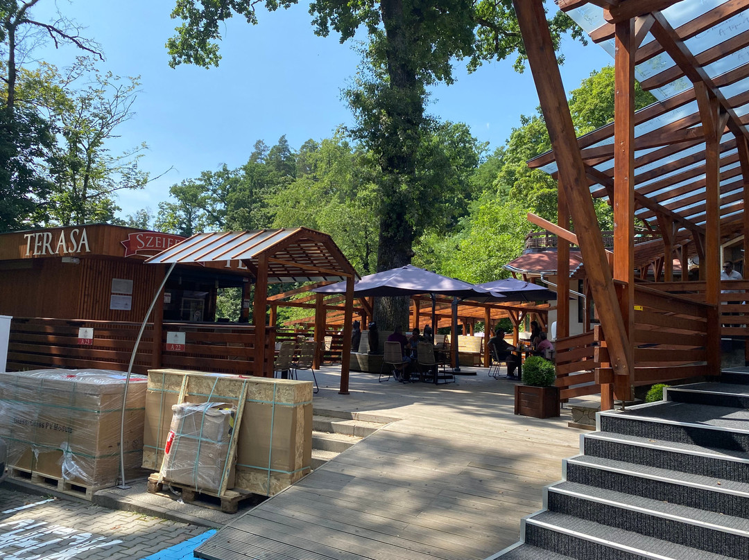 Sovata酒店住宿-Hotel Szeifert