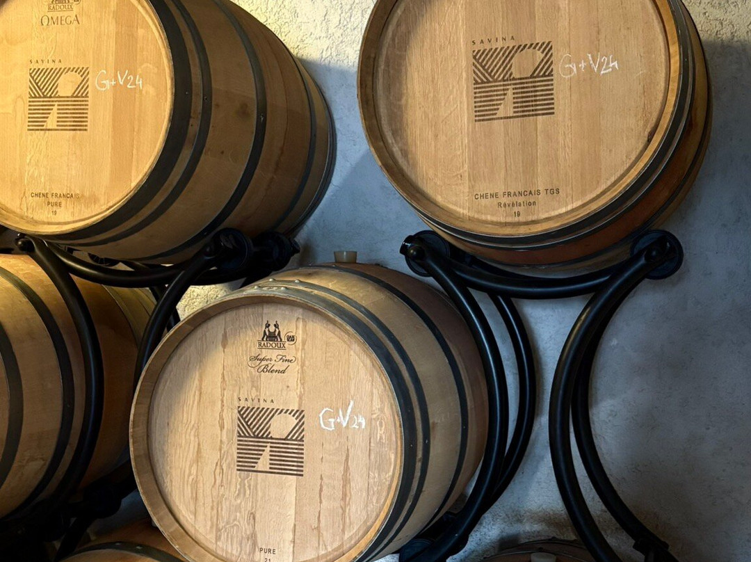 Savina Winery-赫尔采格诺维必去景点