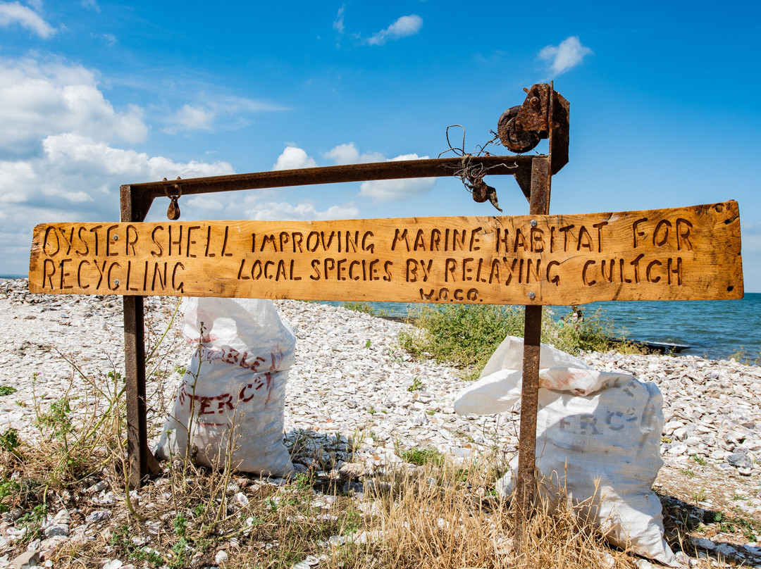 Whitstable Harbour-惠茨特布尔必去景点