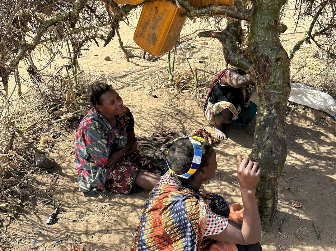 Obama Africa Safari-阿鲁沙必去景点