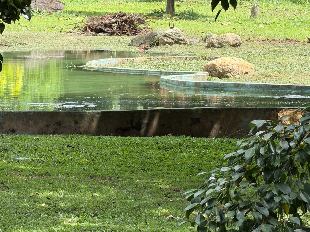 萨瓦纳女王公园-西班牙港必去景点