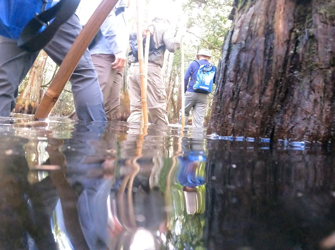 Clyde Butcher's Big Cypress Gallery-奥乔皮必去景点