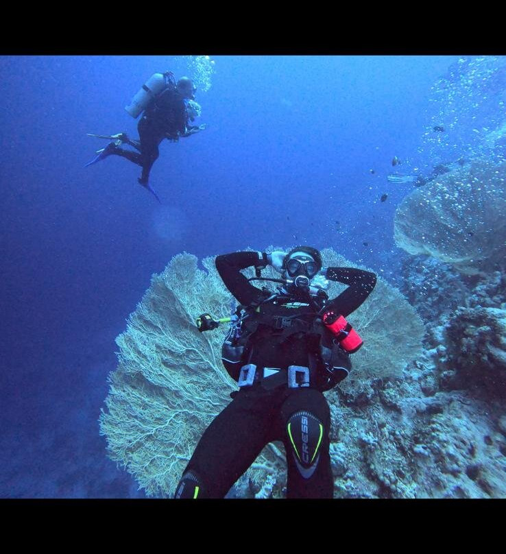 MenaDive-Safaga必去景点