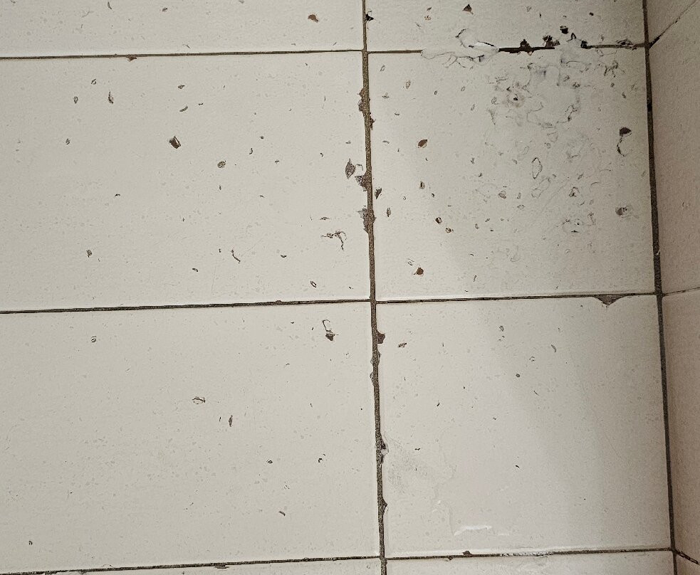 Charlesworth Bay Beach Resort主图