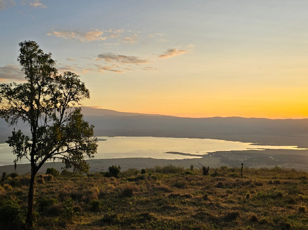 Meijo Safaris-阿鲁沙区必去景点