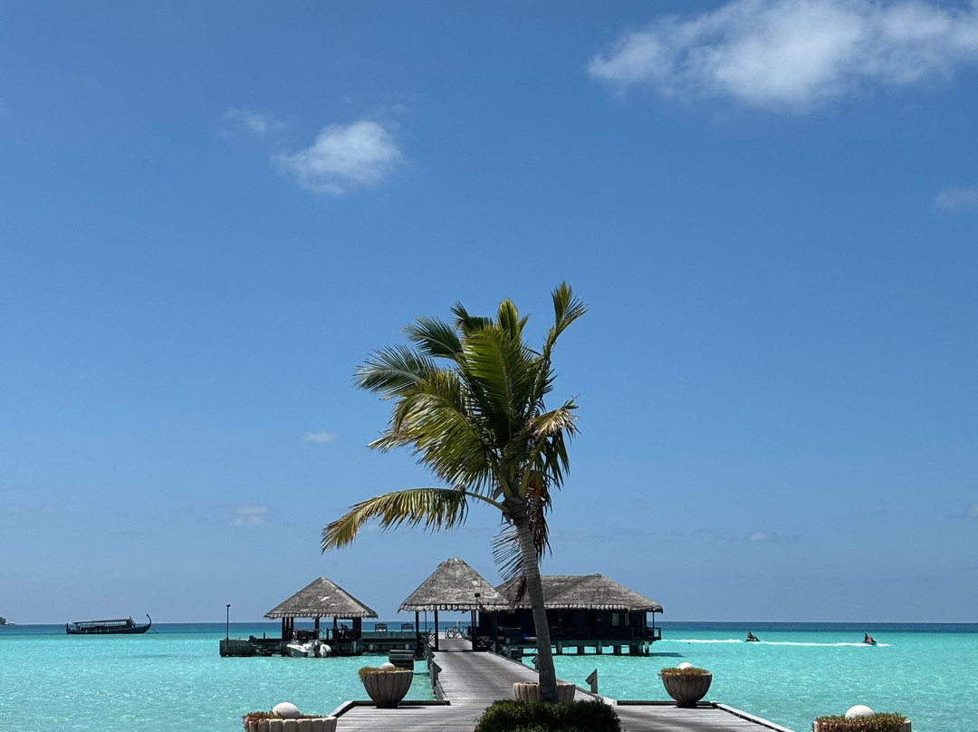 泰姬珍品度假村主图