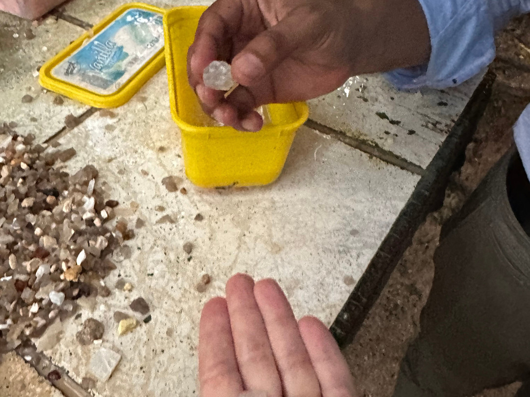 Travel J Sri Lanka-Thalawathugoda必去景点