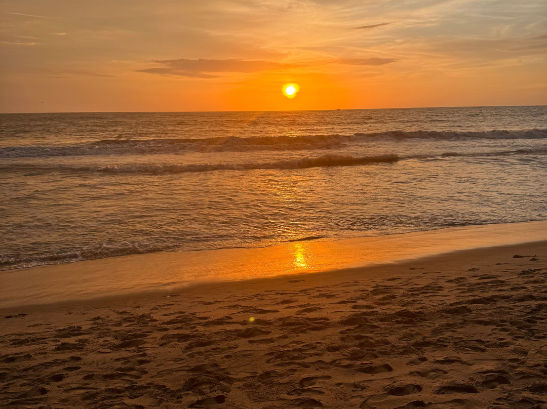 The Nattika Beach Resort主图