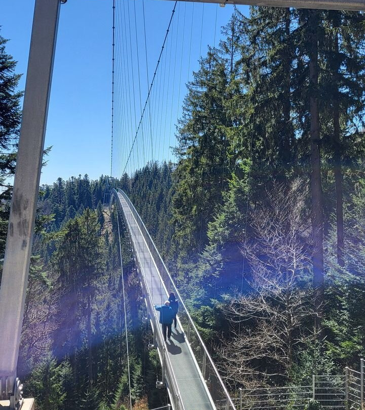 WildLine Hängebrücke-Bad Wildbad必去景点