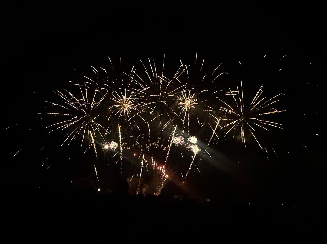 Lydiard Park-斯温顿必去景点