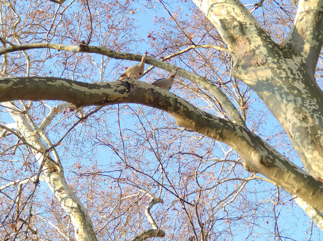 Schlossgarten-斯图加特必去景点