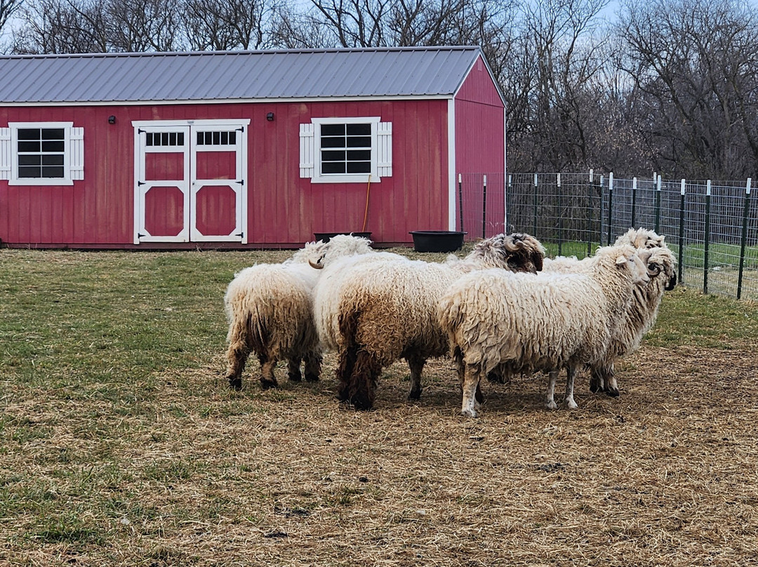 Eagle Eye Farm-River Falls必去景点