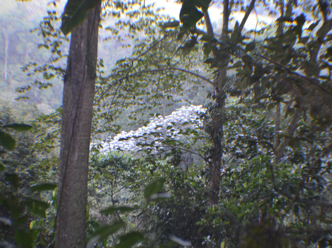 Parque Natural Chicaque-Chicaque必去景点