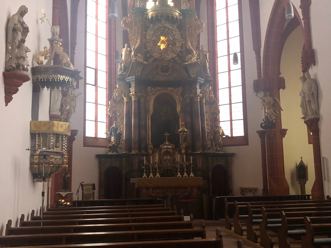 Stiftskirche St. Ägidius-Neustadt an der Weinstrasse必去景点