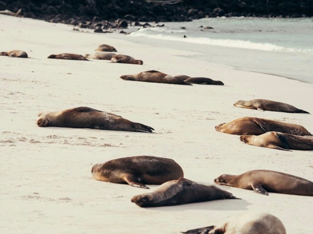 Cruise In Galapagos-阿约拉港必去景点