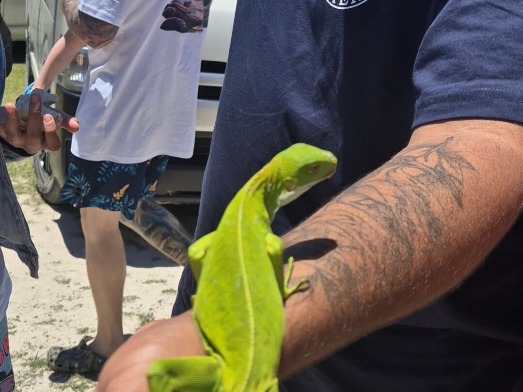 Atmosphere Tours-维拉港必去景点