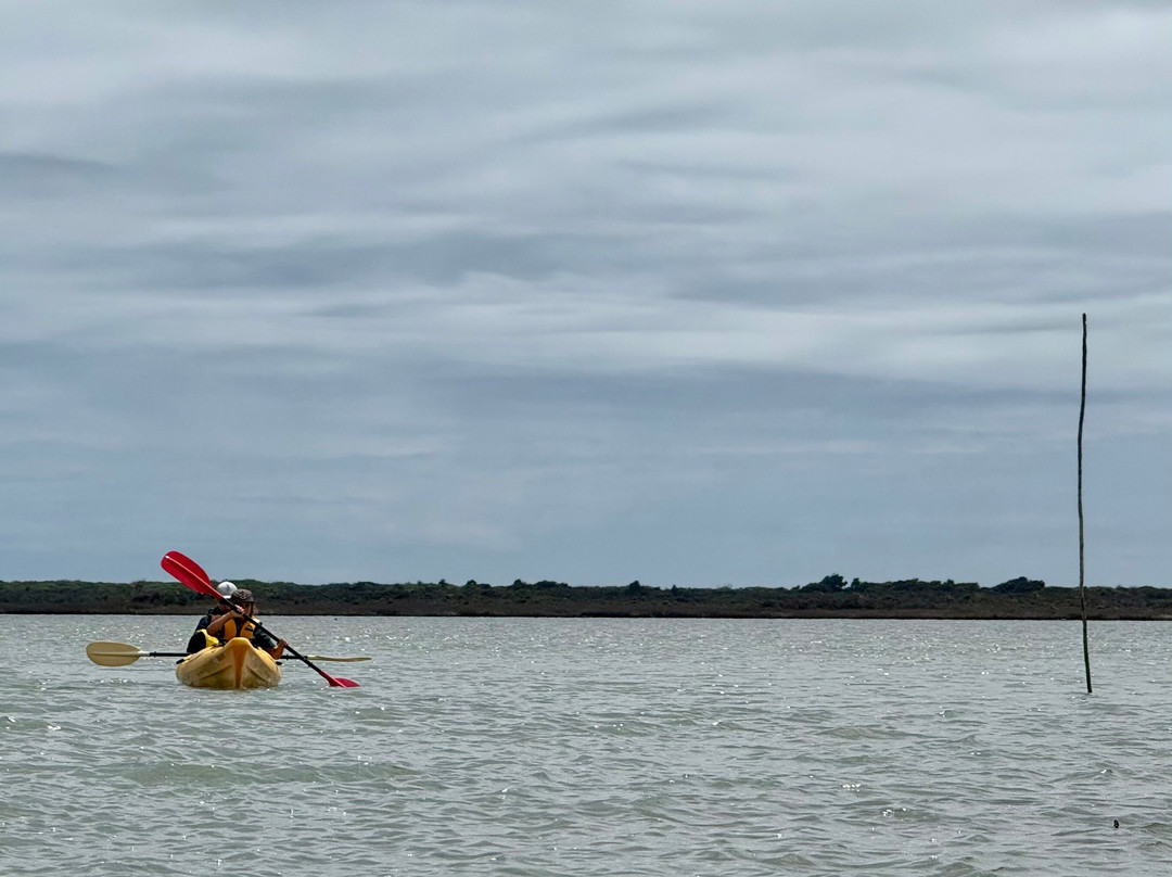 Okarito Kayaks-Okarito必去景点