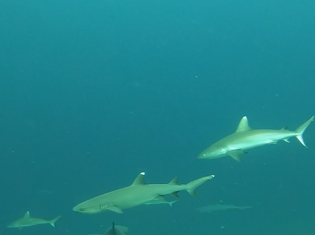 BLUETRIBE MOOFUSHI-魔富士岛必去景点