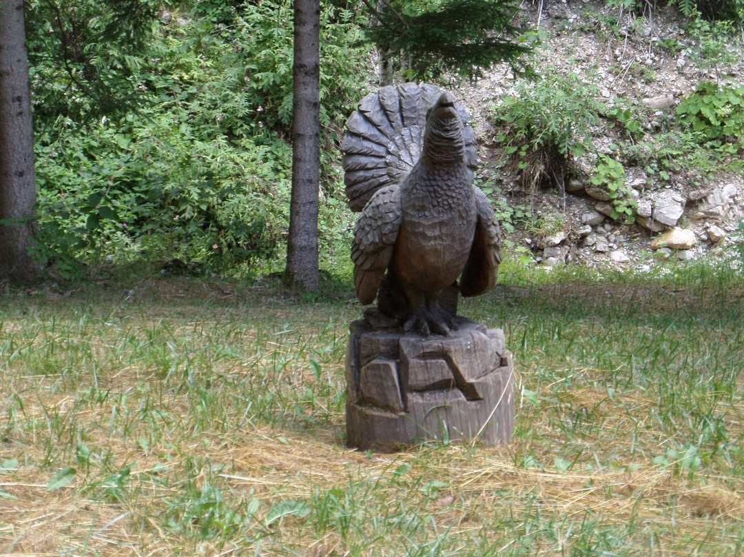 Val di Concei-莱德罗必去景点