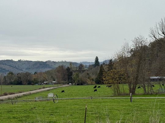 C.h. Bailey House Bed & Breakfast主图