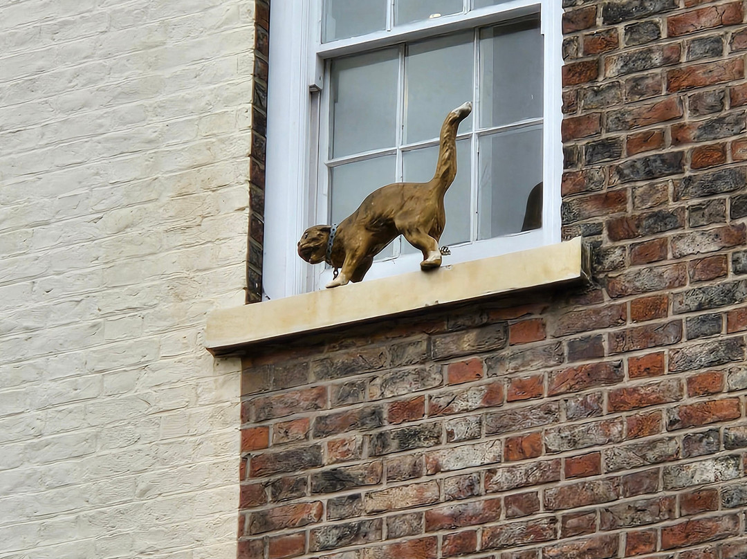 York Cat Trail-约克必去景点