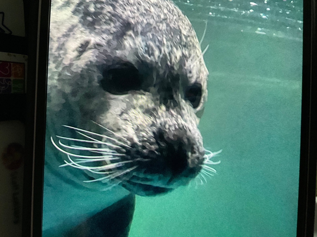 Sea Life Scarborough-斯卡伯勒必去景点