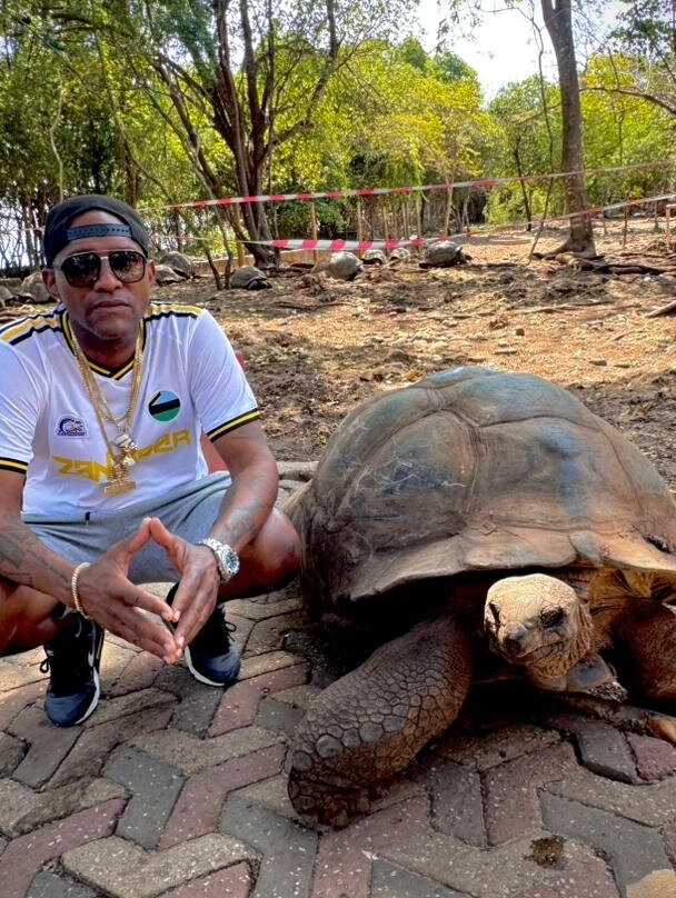 Cool of Africa Tours-桑给巴尔市必去景点