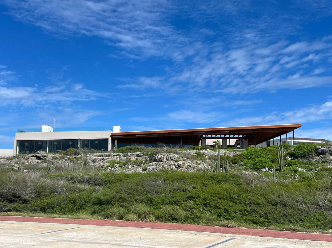 Secrets Baby Beach Aruba