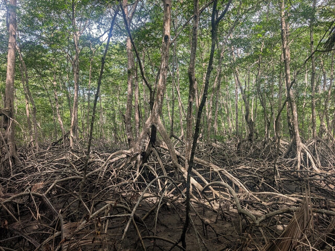 Reserva Curu-彭塔雷纳斯必去景点