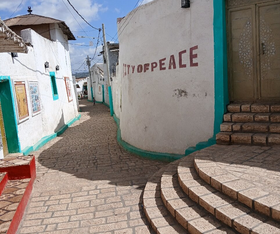 Joel Harar Tours-哈勒尔必去景点