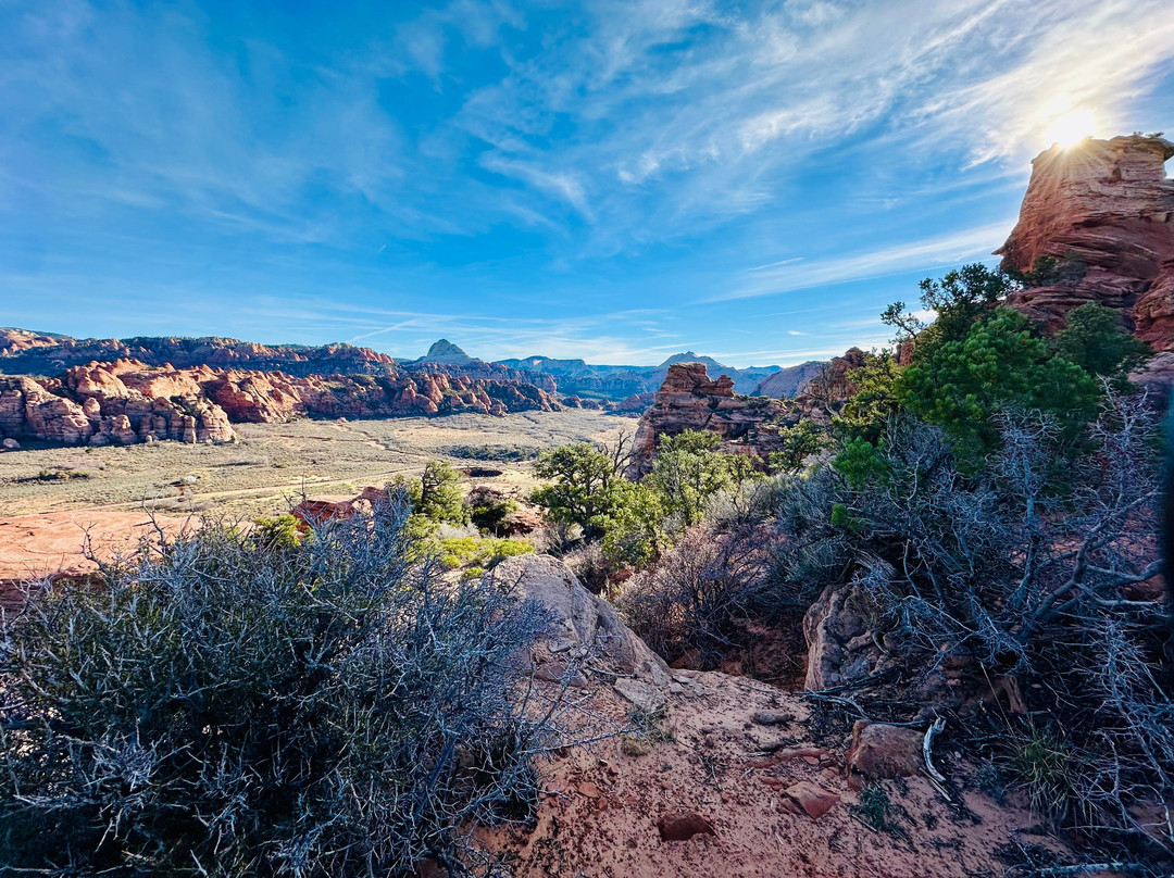 Rock Odysseys-斯普林代尔必去景点