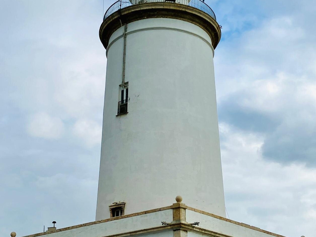 Palmeral de las Sorpresas-马拉加必去景点