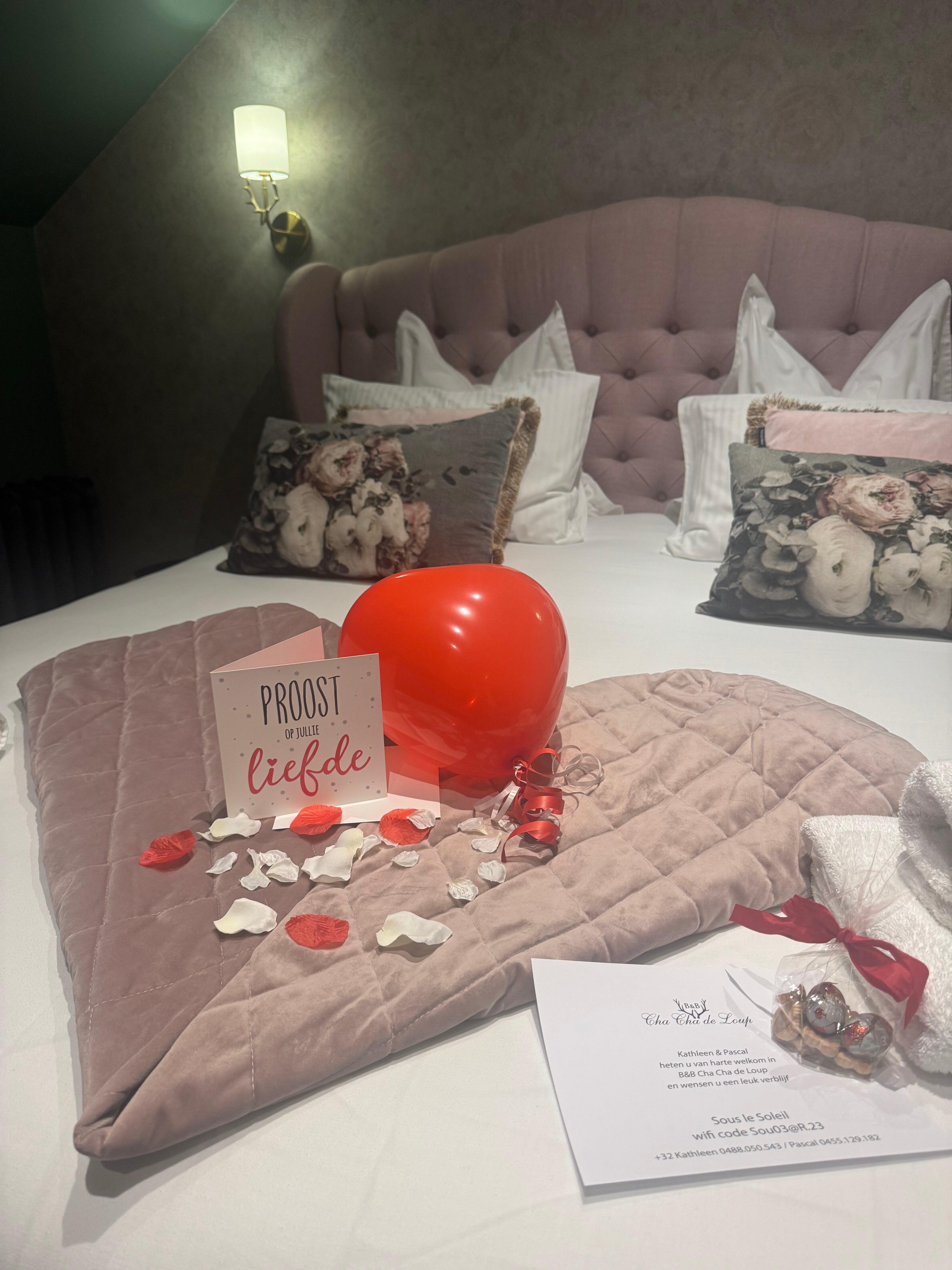 Cha Cha De Loup B&b / Vakantiewoning-客卧