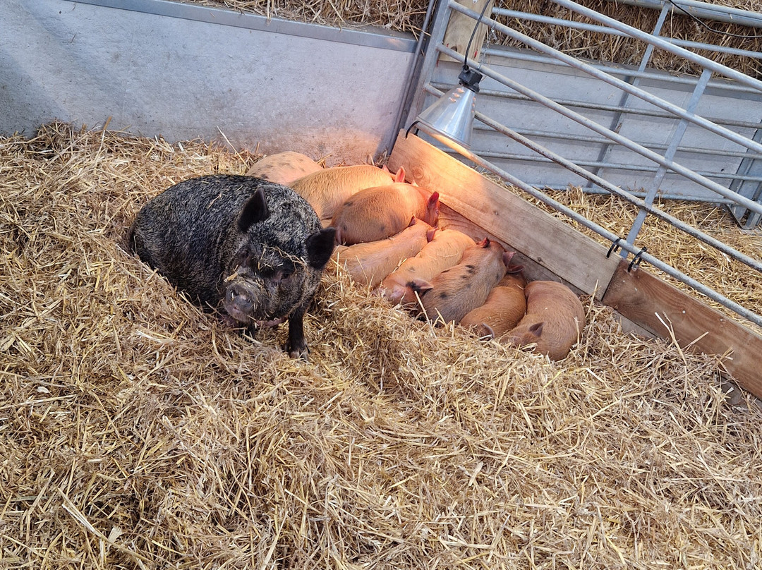 Monk Park Farm-Bagby必去景点