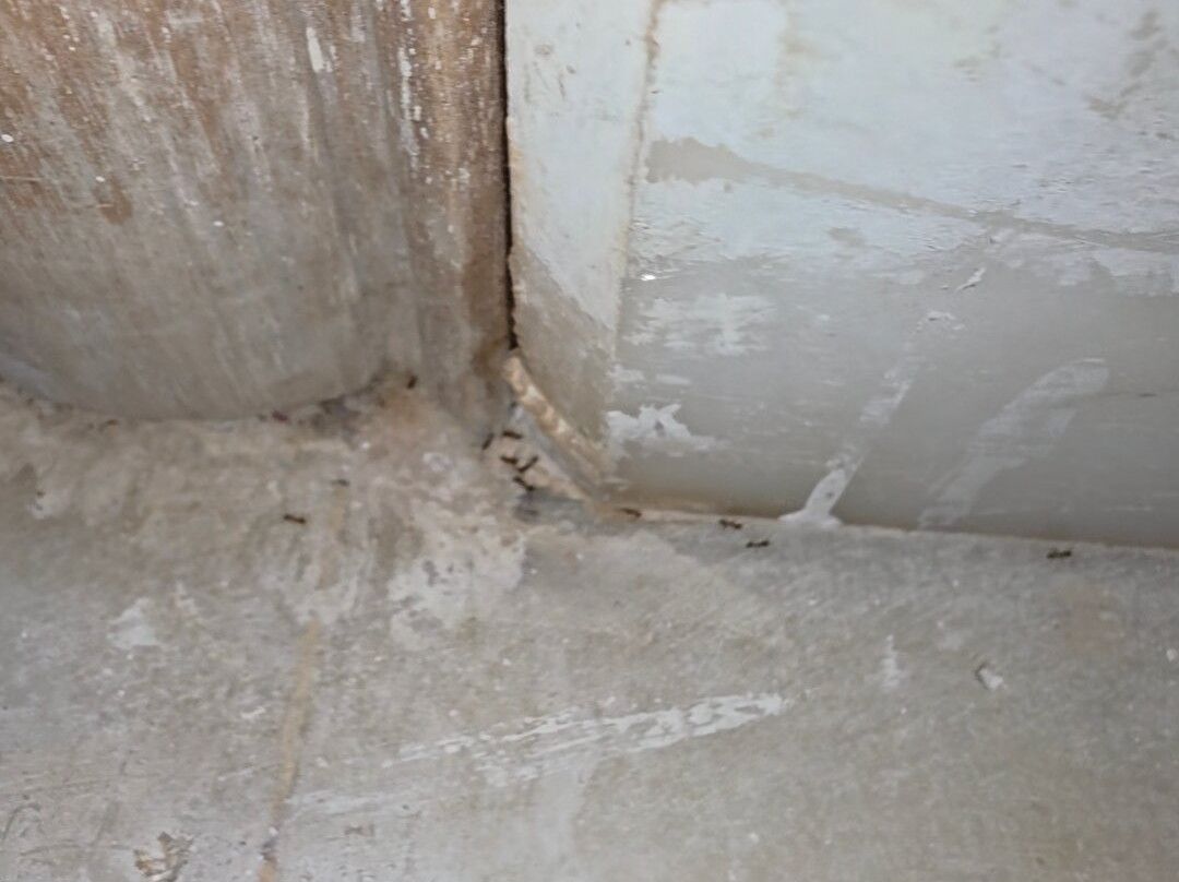 The White Palace Rabat主图