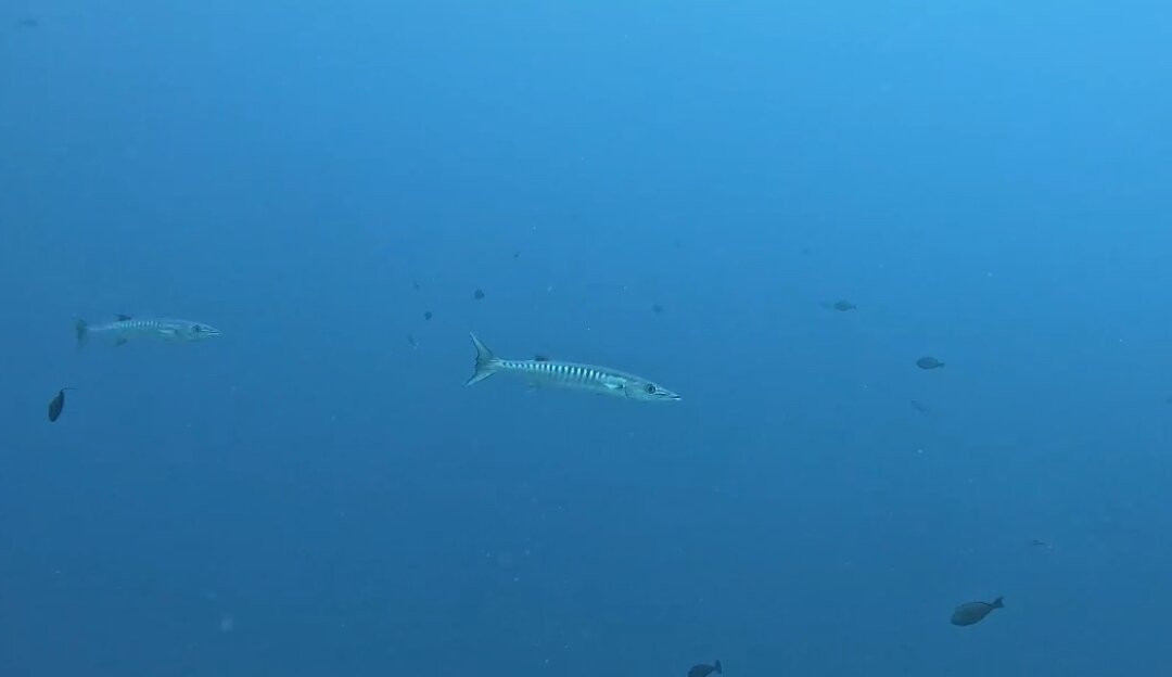 The Six Passengers-阿瓦托鲁必去景点