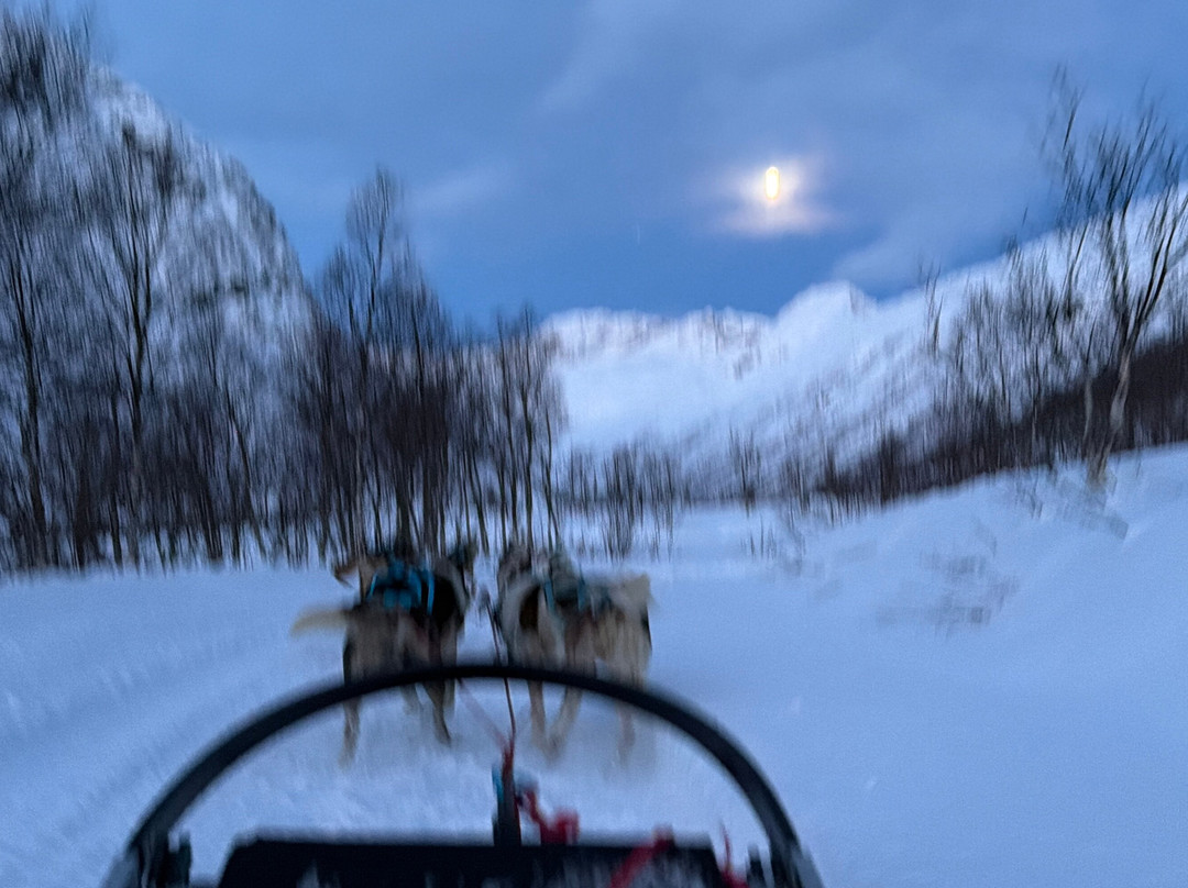 Kvaløya Husky-特罗姆瑟必去景点